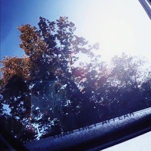 Meet your Posher, Lizzy